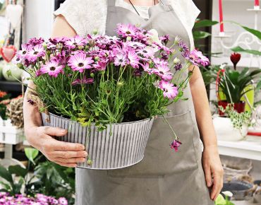 promocionate-humanes-floristeria