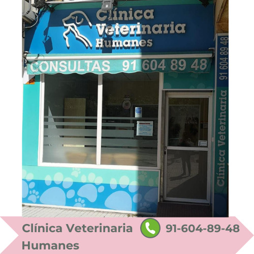 CLINICA VETERINARIA